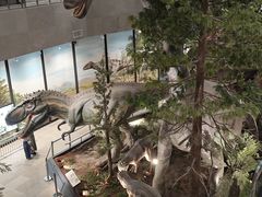 -湖南省地质博物馆