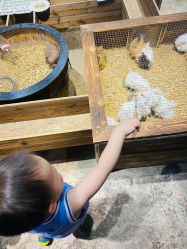 -酷嗒动物文化乐园(cutezoo西溪乐天城店)