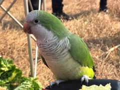 -马栏山视频文创产业园