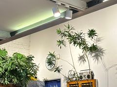 -孟林厨房(798店)