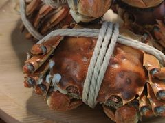 -丫丫蟹庄·苏式园林农家乐·阳澄湖大闸蟹(阳澄湖莲花岛店)