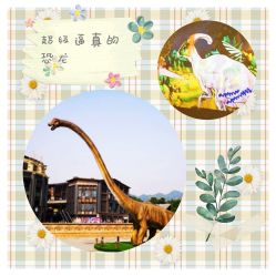 -恐龙探索乐园(磁器口店)