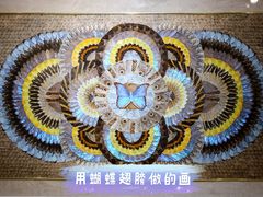 -上海昆虫博物馆