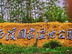 -西溪国家湿地公园