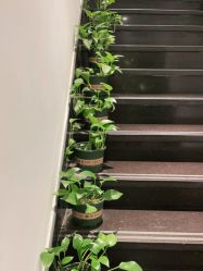 -丝域养发馆