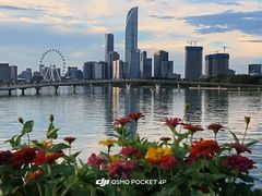 -金鸡湖景区