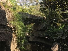 -西安国际创新人才交流中心•药浴温泉