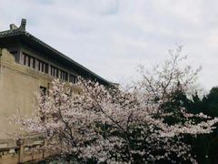 -武汉大学-樱园