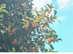 -白塘生态植物园