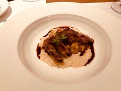 乳鸽-蝶舍·MAISON PAPILLON