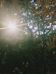 -莲生母婴月子中心(清水河公园店)