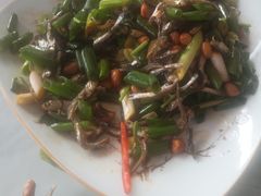 -鸿运美食府