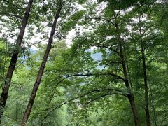 -藏龙百瀑风景区