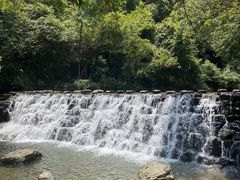 -石台牯牛降景区