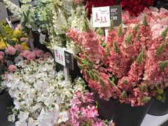 -宜家家居(哈尔滨商场店)