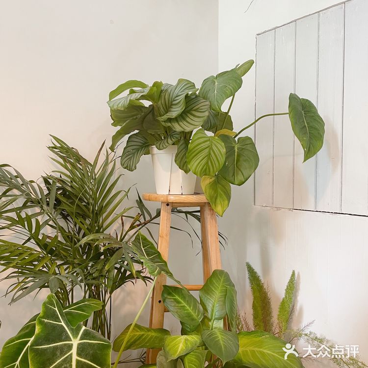 意面控的快乐午餐时间
