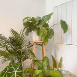 意面控的快乐午餐时间