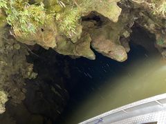 -怀托摩萤火虫洞