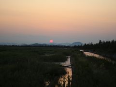 -花岙岛