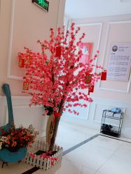 -Bollins波林丝•专研护发中心