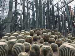 -南山植物园