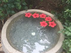 -三亚珠江南田温泉度假区