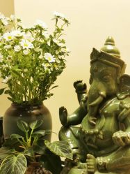 -阿南达·瑜伽普拉提·阿育吠陀疗愈中心