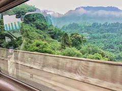 -武陵山森林公园