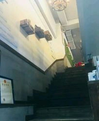 -红人馆造型十添