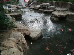 -森谷美食公园(杨行店)