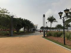 -野狸岛