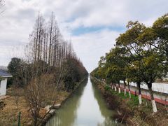 -上海长兴岛郊野公园