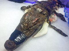 -澜悦港海鲜体验主题餐厅