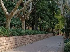 -人民公园-相亲角