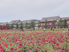 -长春北湖公园