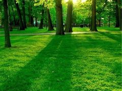 iphone_upload_pic-羊卓雍措