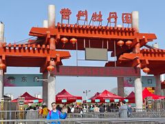 -曹州牡丹园