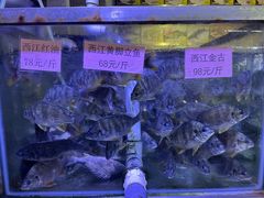 -八仔大富楼·河鲜(西江店)