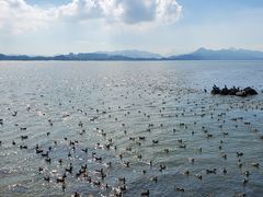 -深圳湾公园(南山区)