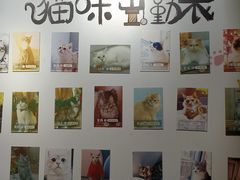 -MOCHA明星猫咖(田子坊店)
