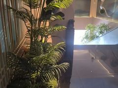 -鹤祥宫·影院足道·SPA连锁(苹果园店)