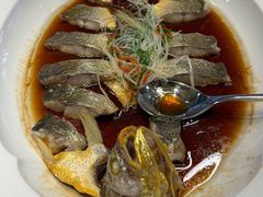 葱油蒸东海大黄鱼-信园