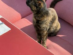 -EATALIA意塔利意式餐厅(鼓楼店)