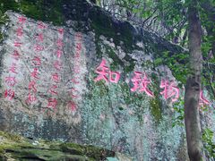 -大余丫山旅游度假区