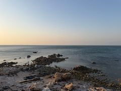 -海岛日记(养马岛店)