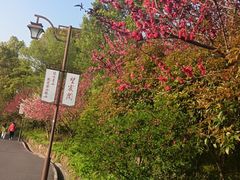 -杭州半山国家森林公园