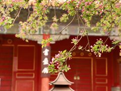 -故宫博物院(故宫)