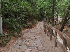 -大岭沟猕猴桃谷风景区