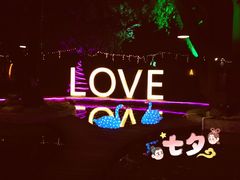 -枫花园汽车电影院(朝阳公园店)