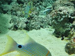 -新加坡海洋生态馆
